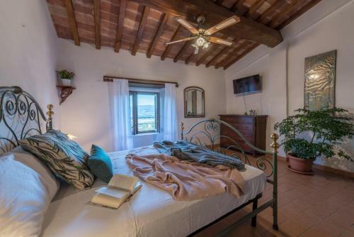 Hostal Lemon Tree Boutique Guest House