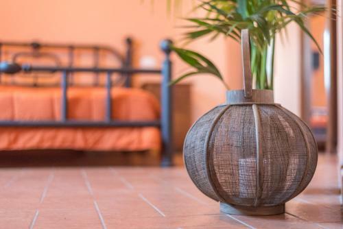Hostal Lemon Tree Boutique Guest House
