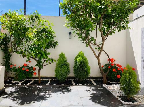Bed & Breakfast Lemon Tree