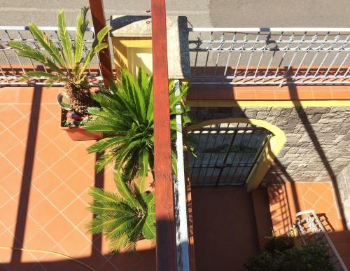 Tyrrhenian Sea Apartment