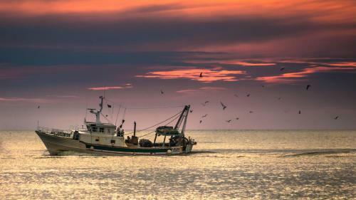 La Casetta Del Viaggiatore - "traveller's Home"