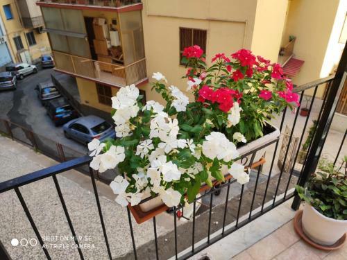 Apartamento Casa Vanna