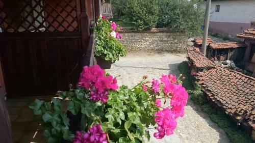 Panorama Family Hotel