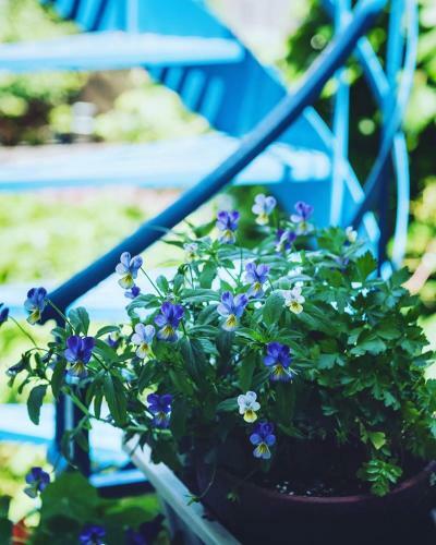Bed & Breakfast � L'adresse Du Centre-ville