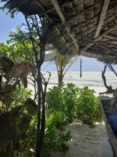 Sweet Beach Apartments