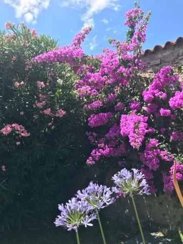 Casa Angela