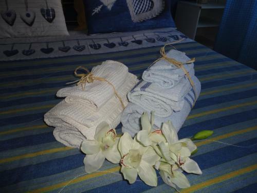 Hostal Travel And Living