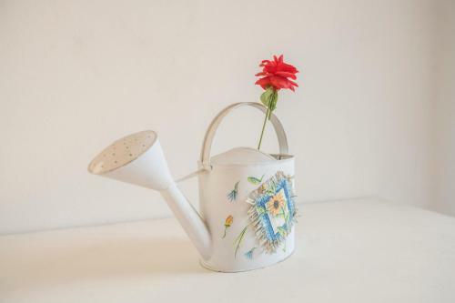 Apartamento Al Agave Sopra