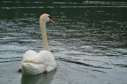 Bed & Breakfast Gostisce Jezero