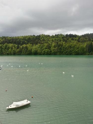 Bed & Breakfast Gostisce Jezero
