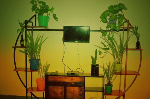 Vacation Rental Home Apartment