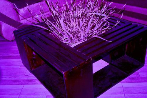 Vacation Rental Home Apartment