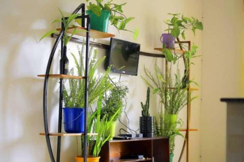 Lovie Apartment