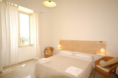 B&B Agon