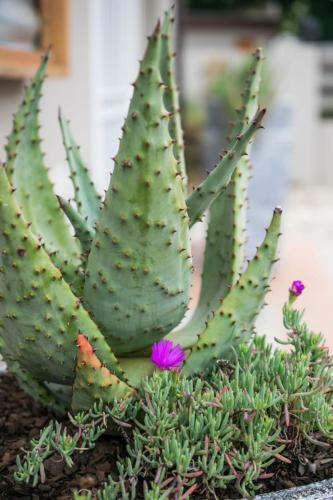 Bed & Breakfast Up21 Guest House