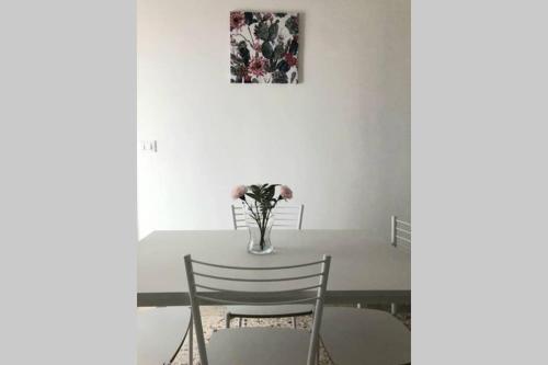 Apartamento Centralissimo Appartamento Fino A 7 Posti Olmo 52