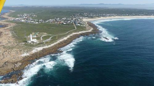 Oyster Catcher Stay And Explore