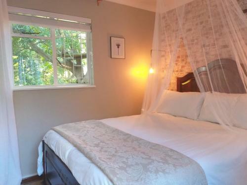 Hostal The Wild Fig