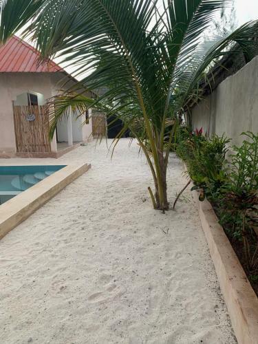 Posada Chokoro House