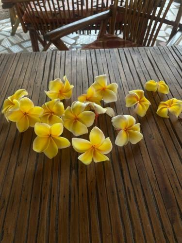 Bed & Breakfast Avocado House Nungwi