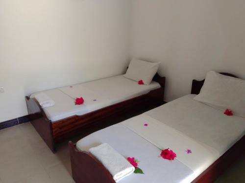Bed & Breakfast H & H Bungalows