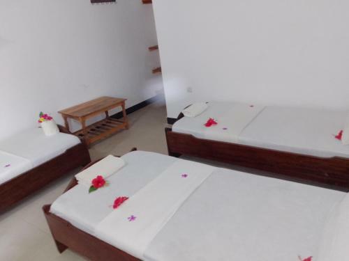 Bed & Breakfast H & H Bungalows