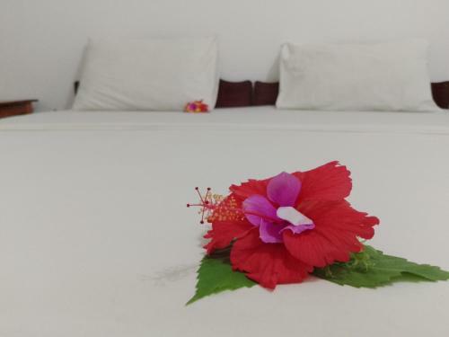 Bed & Breakfast H & H Bungalows