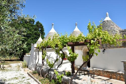 Trulli Di Mercedes