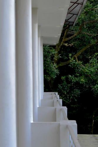 Hotel Avexia Resorts Pine Oak