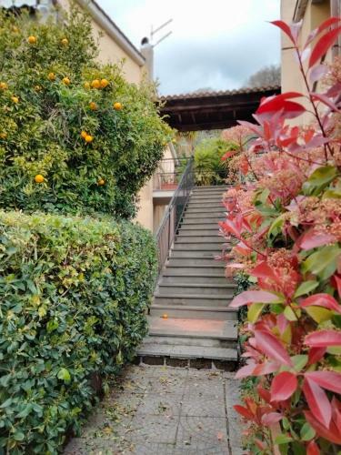 Apartamento Sguardo Sul Lago