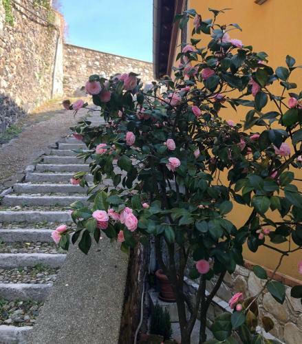 B&B Alle Scalette