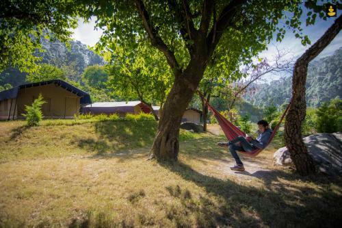 Livingstone Camping Site, Bhimtal