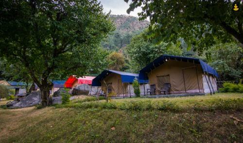Livingstone Camping Site, Bhimtal