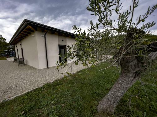 Bed & Breakfast Baita Pav�