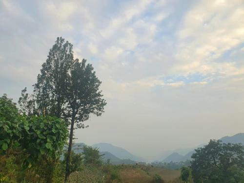 Baakhei Campsite Homestay
