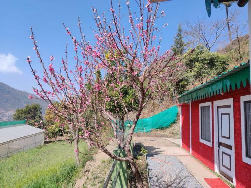 Baakhei Campsite Homestay