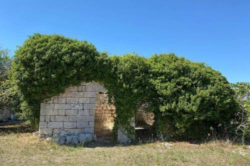 Villa Masseria Castelletto