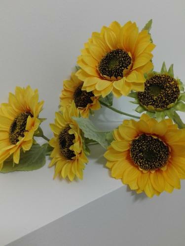 Bed & Breakfast Girasole Grazioli 47