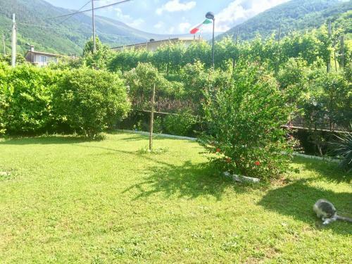 Apartamento Appartamento Lasar