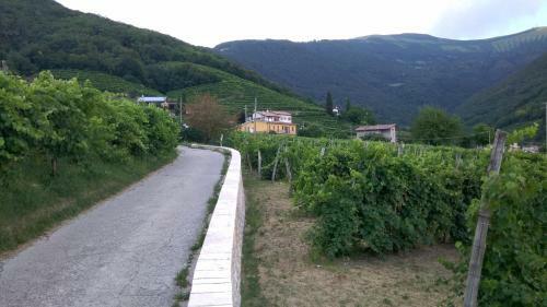 Apartamento Appartamento Lasar