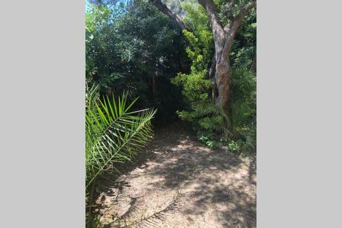 Apartamento House With Garden Baia Dei Saraceni