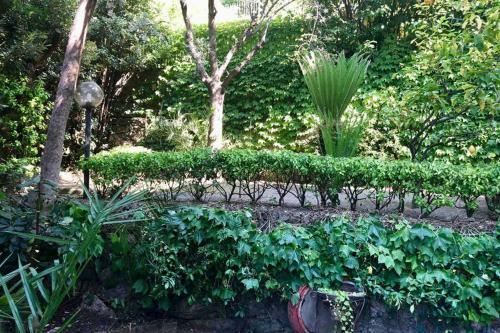 Apartamento House With Garden Baia Dei Saraceni