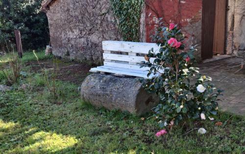Relax & Sport Velletri