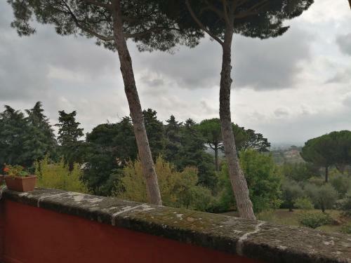 Vigna Dell'agrifoglio - Bed And Breakfast