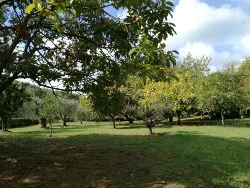 Vigna Dell'agrifoglio - Bed And Breakfast
