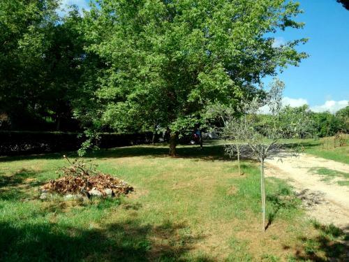 Vigna Dell'agrifoglio - Bed And Breakfast