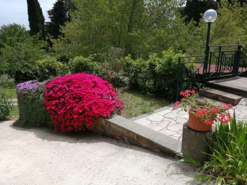 Vigna Dell'agrifoglio - Bed And Breakfast