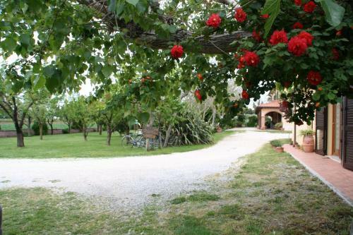 Agroturismo Agriturismo Diciocco