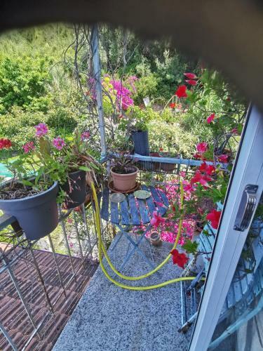 Hostal Romantic Casa Lorenzina Affittacamere