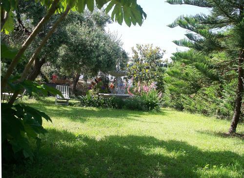 Bed & Breakfast La Tana Del Tasso Ventimiglia
